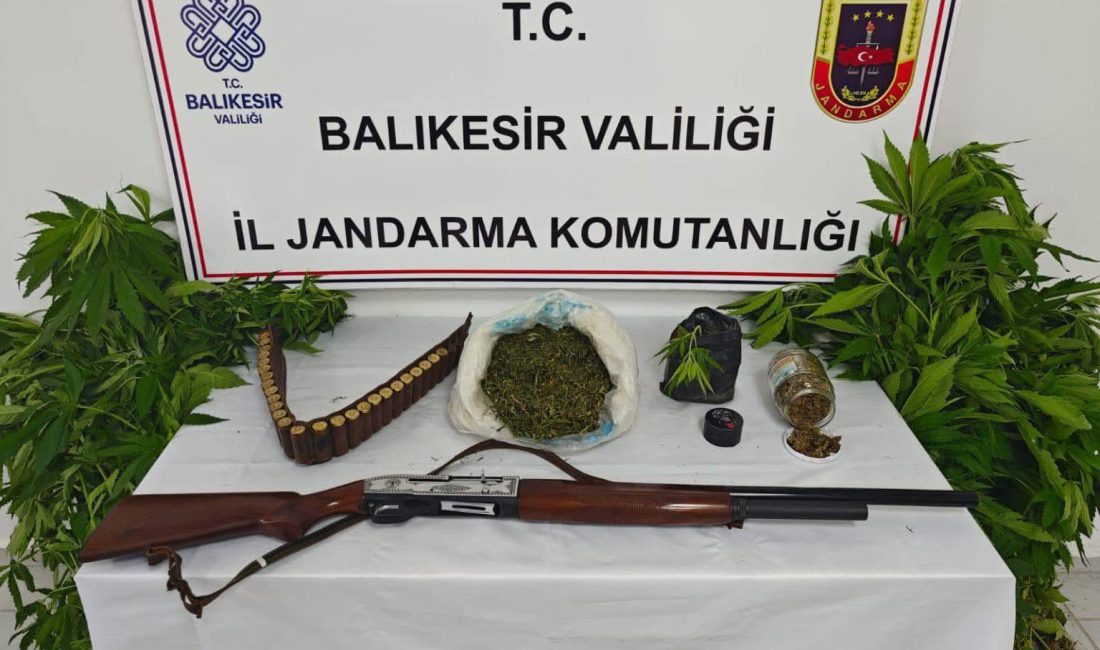 Erdek’te uyuşturucu operasyonu Balıkesir’in Erdek ilçesinde jandarma ekiplerince düzenlenen uyuşturucu operasyonunda 93 kök