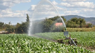 Balıkesir Su ve Kanalizasyon İdaresi (BASKİ) Genel Müdürlüğü, İvrindi’de tarımsal