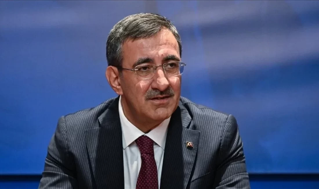 Cumhurbaşkanı Yardımcısı Cevdet Yılmaz, deprem bölgesine yapılan harcamanın yıl sonunda