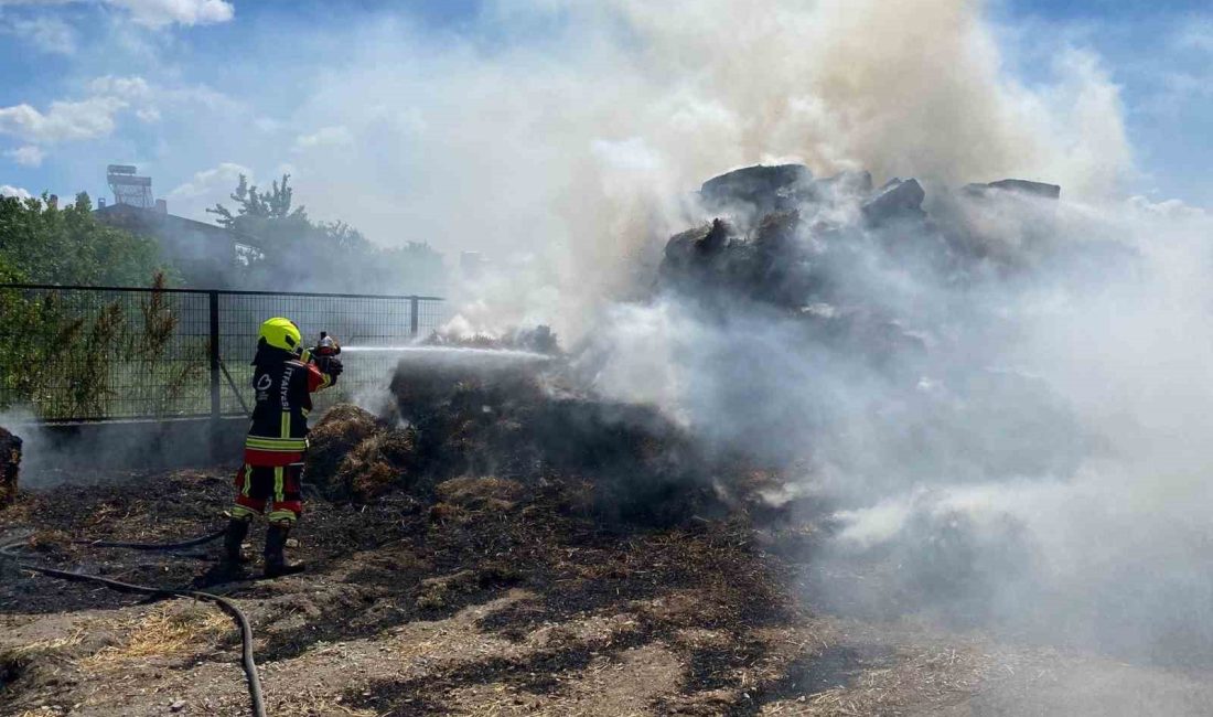 Balıkesir’in Karesi ilçesine bağlı kırsal Yakupköy Mahallesi’nde meydana gelen yangında