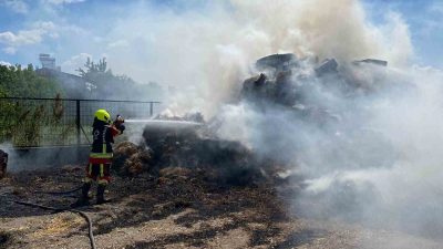 Balıkesir’in Karesi ilçesine bağlı kırsal Yakupköy Mahallesi’nde meydana gelen yangında