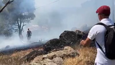 Balıkesir’in Ayvalık ilçesinde Cennet Tepesi olarak bilinen bölgedeki ormanlık alanda