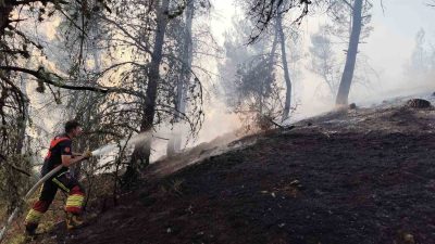 Balıkesir’in Dursunbey ilçesinde ormanlık alanda yangın çıktı. Yangına karadan ve