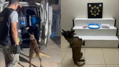 Balıkesir’in Edremit ilçesinde gerçekleştirilen operasyonda, 3 kilogram metamfetamin ele geçirildi.