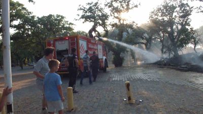 Burhaniye İlçesinde, Ören Mahallesinde meydana gelen ot yangını çevrede oturanlar