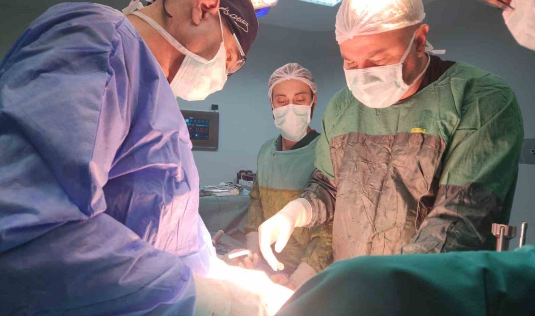 Balıkesir Üniversitesi Hastanesi Genel Cerrahi Kliniği, ileri düzey cerrahi uygulamalarda