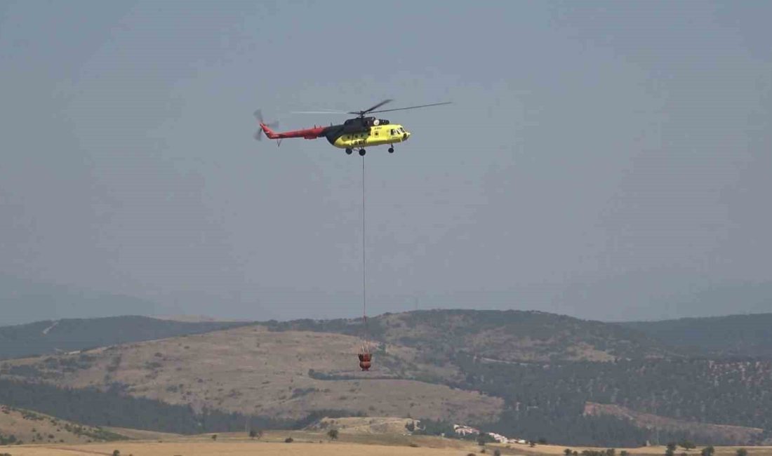 Balıkesir Karesi ilçesinde çıkan ve kısa sürede büyüyen orman yangını,