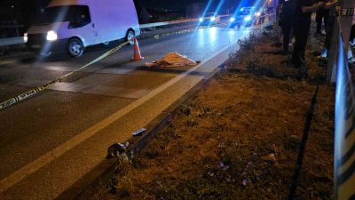 Balıkesir’in Bandırma ilçesinde meydana gelen trafik kazasında 83 yaşındaki kadın,