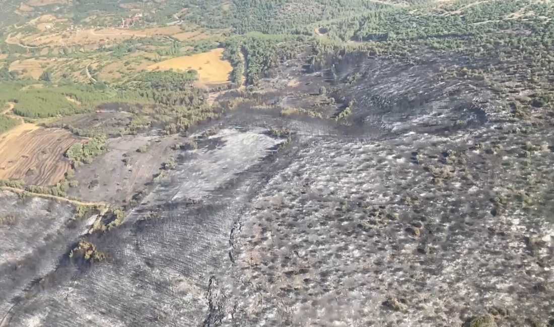 Balıkesir’in Kepsut ilçesinde çıkan orman yangınları, dünden beri karadan ve