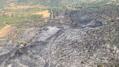 Balıkesir’in Kepsut ilçesinde çıkan orman yangınları, dünden beri karadan ve