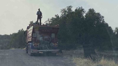 Balıkesir’in Ayvalık ilçesinde zeytinlik alanda çıkan yangın itfaiye ekiplerinin müdahalesiyle