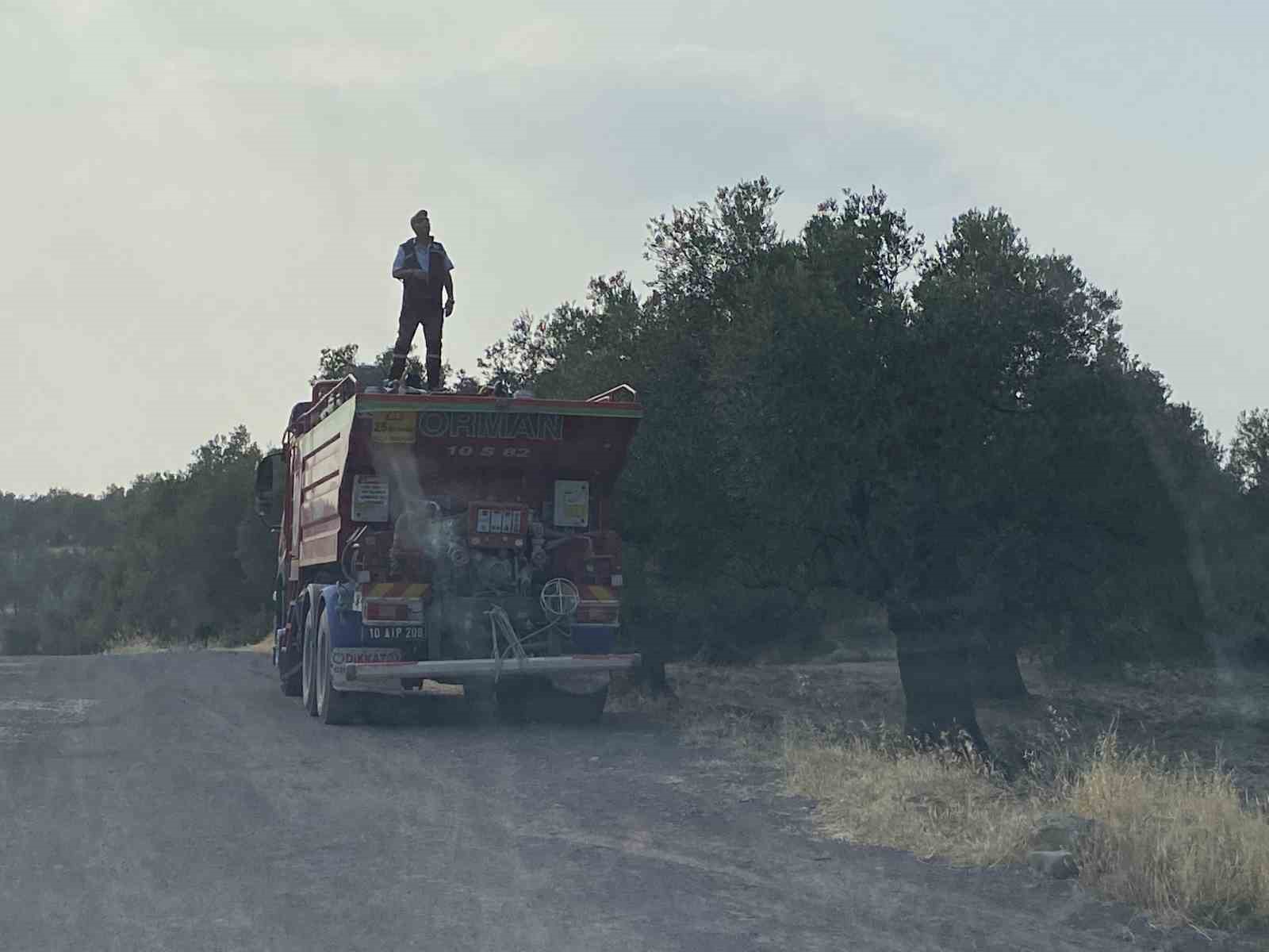 Balıkesir’in Ayvalık ilçesinde zeytinlik alanda çıkan yangın itfaiye ekiplerinin müdahalesiyle