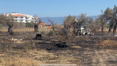 Balıkesir’in Burhaniye ilçesinde, otobüs terminalinin arkasındaki zeytinlik alanda çıkan yangında
