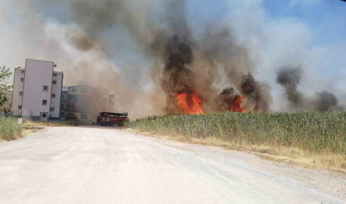 Balıkesir’de sazlık alanda yangın Balıkesir’in Edremit ilçesi Dalyan Mevkii’nde sazlık alanda henüz bilinmeyen bir