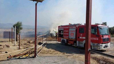 Balıkesir’in Edremit ilçesi Yaylaönü Mahallesi Değirmenönü Mevkii’nde bir besi çiftliğinde