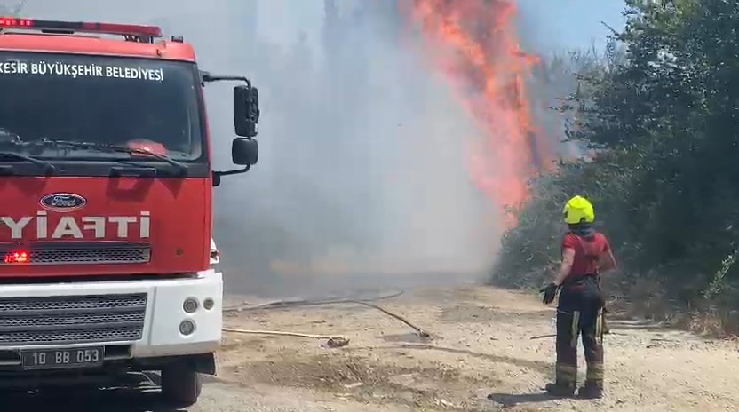 Balıkesir’in Edremit ilçesinde Çıkrıkçı Ovası’nda çıkan yangın, tarım arazilerinde büyük