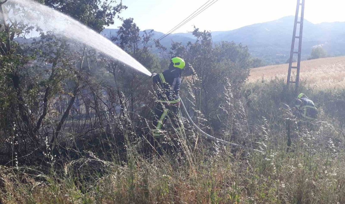 Balıkesir İtfaiye Daire Başkanlığı’na bağlı ekipler, il genelinde son 9