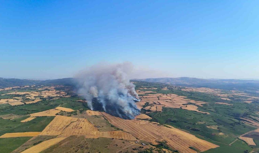 İzmir otoyolunun yanı başındaki yangına 3 helikopter müdahale etti Balıkesir’in Susurluk ilçesinde rüzgarın etkisiyle büyüyen yangında yüzlerce dönüm tarım