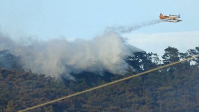 Balıkesir’in Havran ilçesinde çıkan orman yangını, ekiplerin yoğun müdahalesiyle büyük