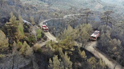 Balıkesir’in Havran ilçesinin kırsal Halılar Mahallesi’nde dün çıkan orman yangını,