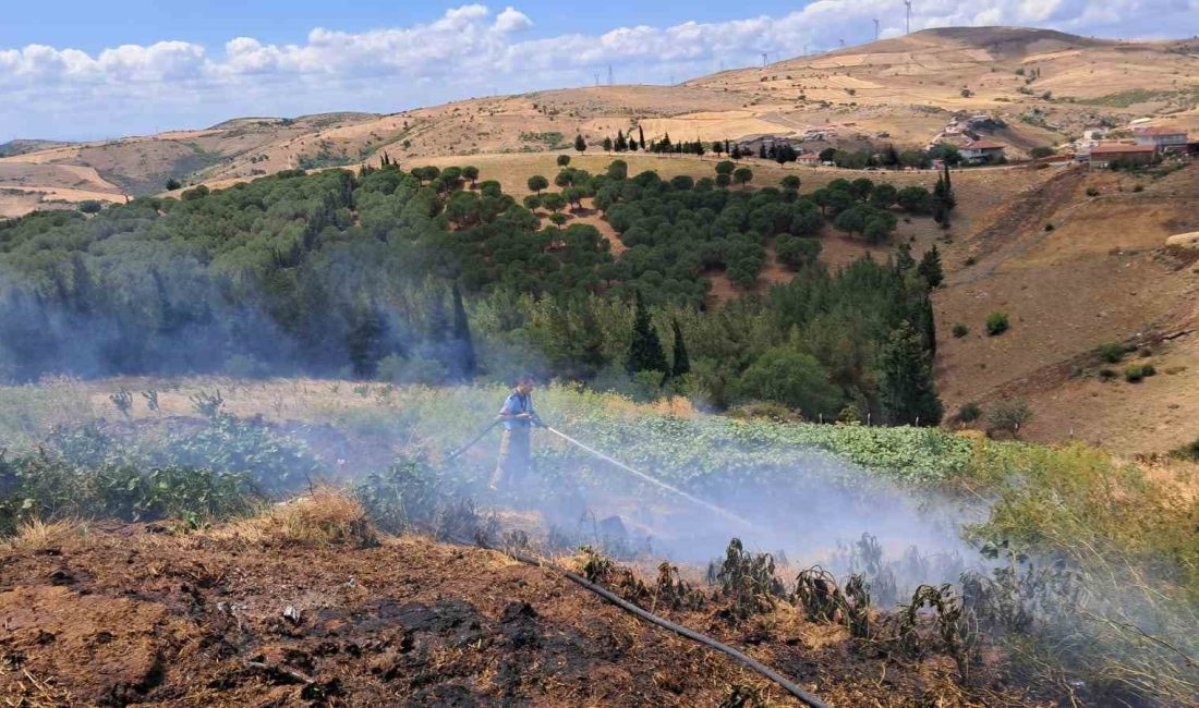 Balıkesir’de 2 arazi yangını Balıkesir’in Altıeylül ilçesine bağlı Nergiz ve Kabakdere mahallerinde çıkan arazi