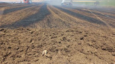 Balıkesir’in Bandırma ilçesine bağlı Kayacık Mahallesi kırsalında çıkan anız ve