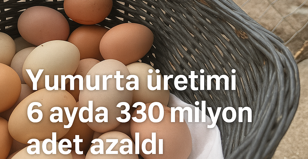 TÜİK'e göre yumurta üretimi geçen yıl kasımdan bu yana sürekli