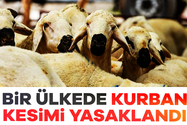 Fas Kralı 6. Muhammed, ülkede artan koyun fiyatları ve hayvan