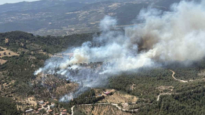 Balıkesir’in Havran ilçesi Halılar Mahallesi’nde arazide başlayan yangının ormanlık alana
