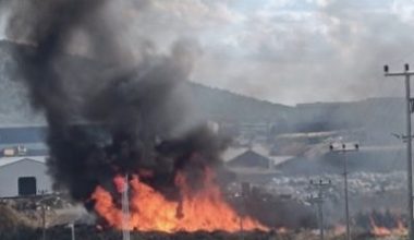 Balıkesir’in Bandırma ilçesindeki Organize Sanayi Bölgesi’nde (OSB) boş alanda çıkan
