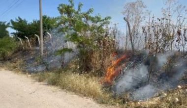Balıkesir’in Gönen ilçesi Kurtuluş Mahallesi’nde bulunan boş arazide henüz bilinmeyen