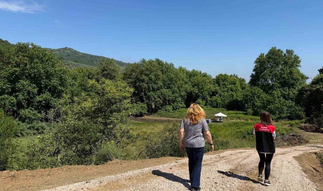 Erdek’te tarım arazileri takip altında Erdek İlçe Tarım ve Orman Müdürlüğü ekipleri, ürün sınıflama analizlerine
