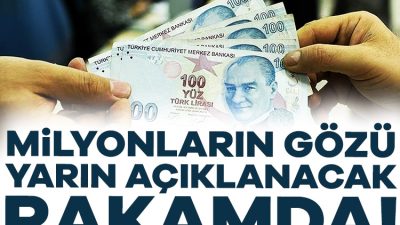 Türkiye İstatistik Kurumu Mayıs ayına ilişkin enflasyon rakamlarını yarın açıklayacak.