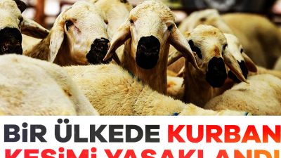 Fas Kralı 6. Muhammed, ülkede artan koyun fiyatları ve hayvan