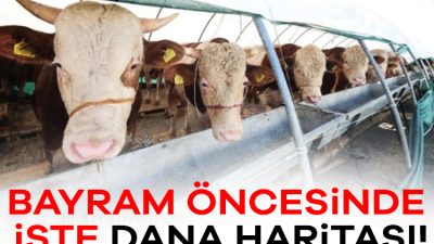 Kurban Bayramı yaklaşırken, büyükbaş hayvan etlerinin israf edilmeden ve verimli