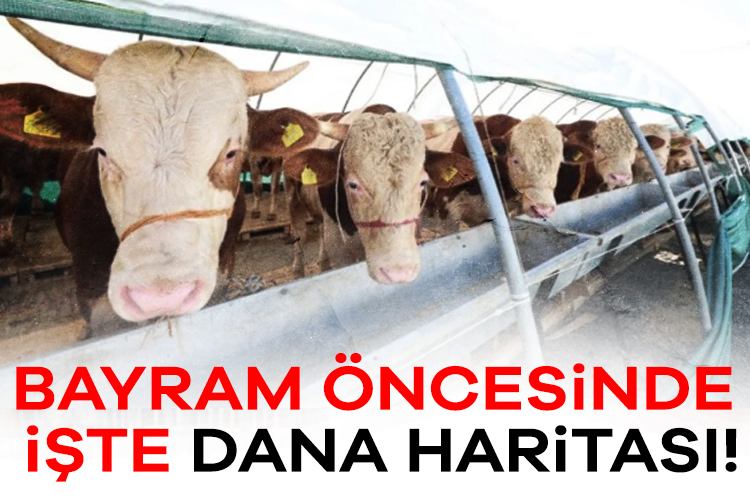 Kurban Bayramı yaklaşırken, büyükbaş hayvan etlerinin israf edilmeden ve verimli