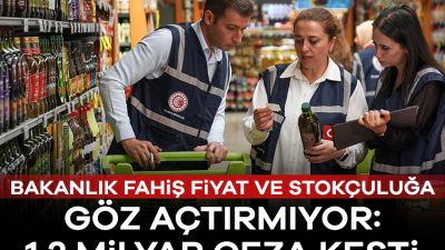 Ticaret Bakanlığı, yılın ilk 5 ayında yüz binlerce firma ve