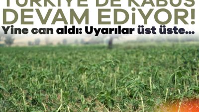 Kent genelinde vücuduna yapışan kene yapışan bir kişi hayatını kaybetti.