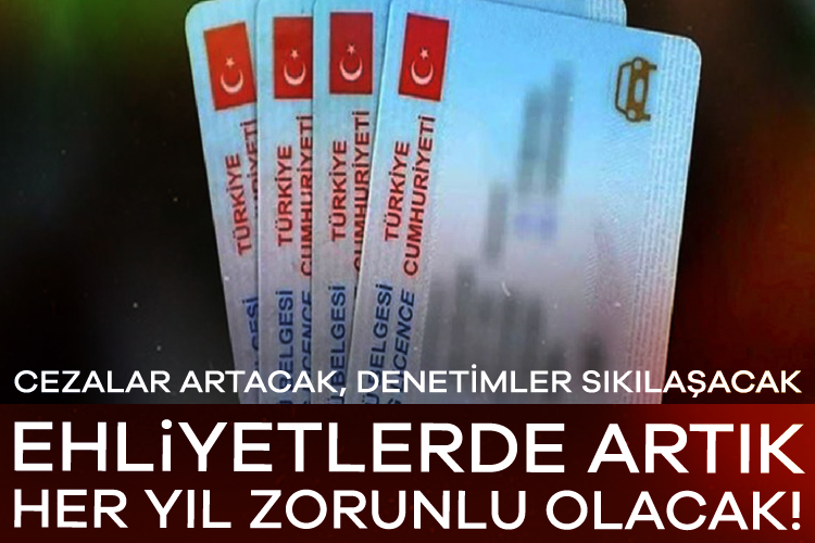 İçişleri Bakanlığı'nın TBMM'ye sunmaya hazırlandığı yeni eylem planıyla ileri yaştaki