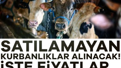 Kurban pazarında, 2025 hem satıcı hem alıcı için zor bir