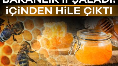 Tarım ve Orman Bakanlığı, Türkiye'nin 81 ilinde yapılan denetimlerin ardından