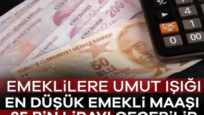 Yargıtay Onursal Üyesi Seyfettin Çilesiz, 2023'te memurlara verilen 8.077 TL'lik