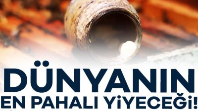 Arı kovanlarında yalnızca kraliçe arı için üretilen arı sütü, son