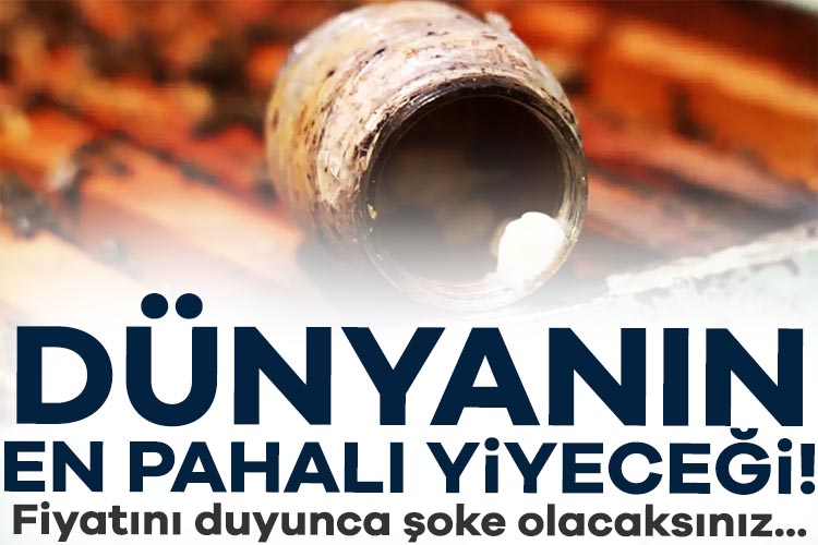 Arı kovanlarında yalnızca kraliçe arı için üretilen arı sütü, son