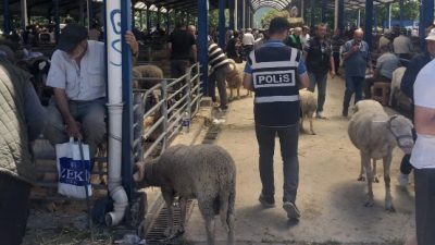 Balıkesir’in Gönen ilçesinde, İlçe Emniyet Müdürlüğü ekipleri tarafından Kurban Bayramı