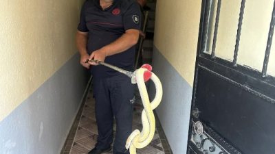 Balıkesir'in Gönen ilçesi Karşıyaka Mahallesi 4008 Sokak'ta bulunan bir apartman