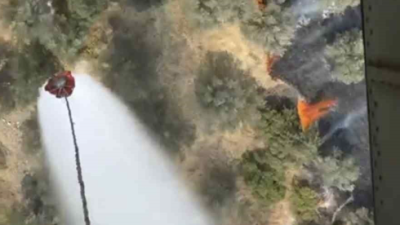 Balıkesir’in Ayvalık ilçesi Mutluköy Mahallesi Kilisetepe mevkisinde, zeytinlik alanda çıkan