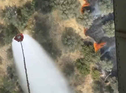 Balıkesir’in Ayvalık ilçesi Mutluköy Mahallesi Kilisetepe mevkisinde, zeytinlik alanda çıkan