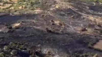 Balıkesir’in Kepsut ilçesine bağlı Eyüpbükü Kırsal Mahallesi’nde dün çıkan orman