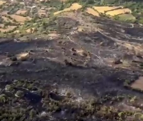 Balıkesir’in Kepsut ilçesine bağlı Eyüpbükü Kırsal Mahallesi’nde dün çıkan orman